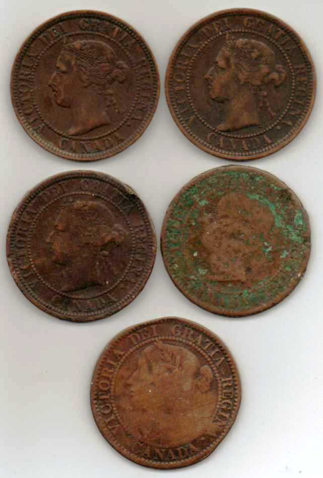 Friend-Inherits-Coins.-Entrusts-Me-With-Selling-Them.